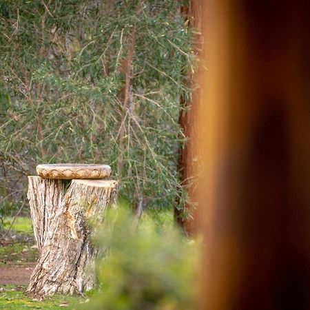 Margaret River Chalets ภายนอก รูปภาพ