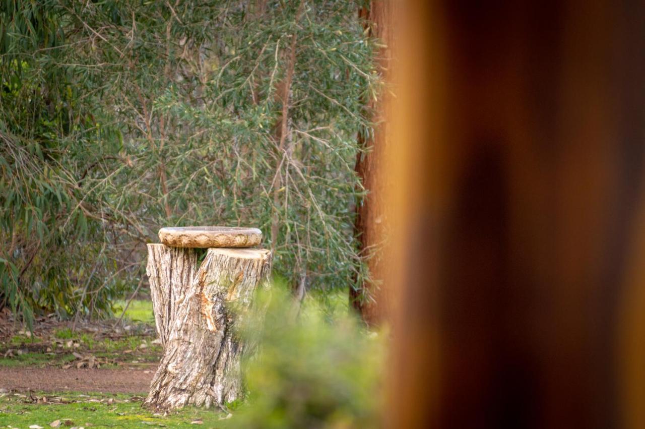 Margaret River Chalets ภายนอก รูปภาพ